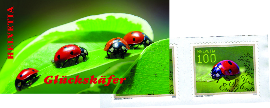 2015, Spezielle Anlässe, Marienkäfer