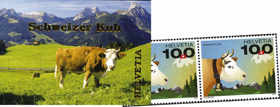 2017, Schweizer Kuh