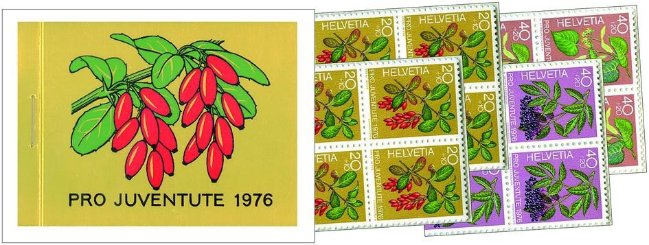 1976, Berberitze-gold