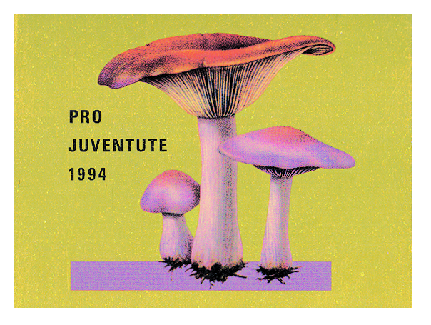 1994, Pilz-gold