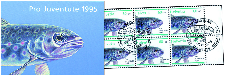 1995, Bachforelle-mehrfarbig