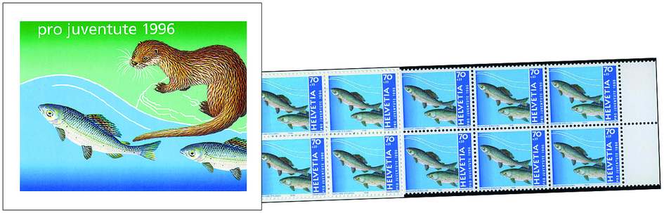 1996, Äschen-Fischotter