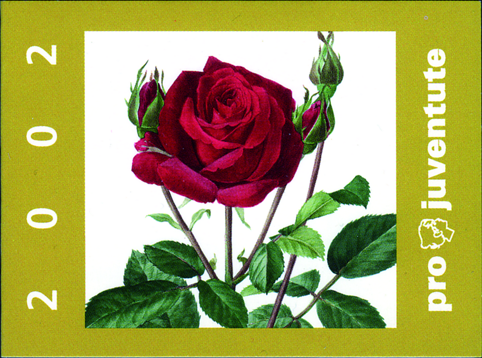 2002, Rosen