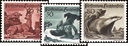 1950, Jagdserie III