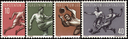 1954, Sportserie I