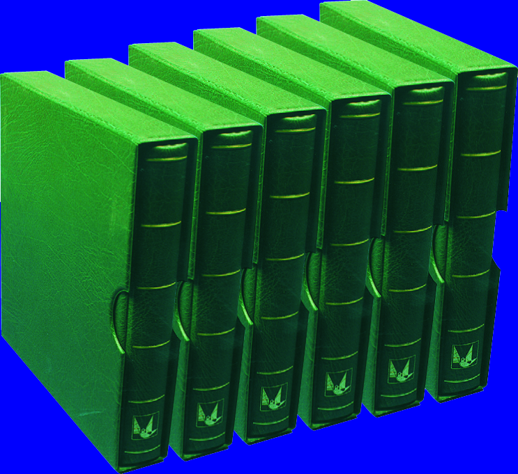 Müller-Binder grün, Originalkarton (6 Stk.)