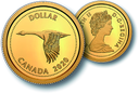 Wildgans, Canada