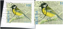 100 Rp. Kohlmeise, "Markenbild nach oben verschoben, oben das Markenbild beschneidend"