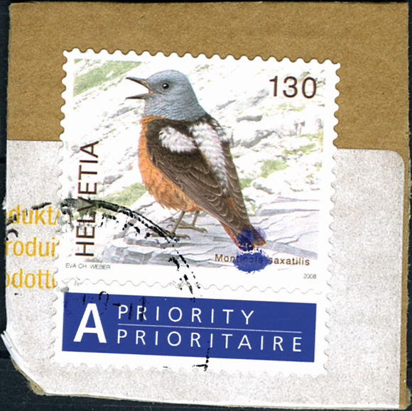 130 Rp. Steinrötel, "Markante blaue Farbflecken" am Schwanzende und unter dem Steinrötel