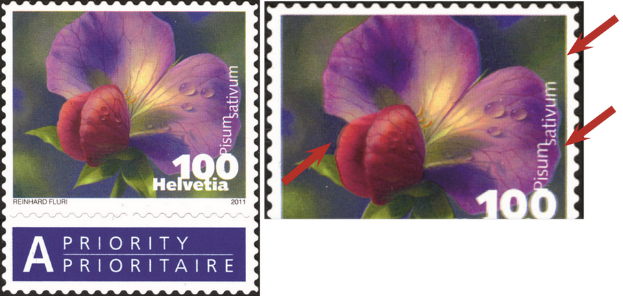 100 Rp. Kiefelerbse, "Starke Verschiebung der Druckfarben"