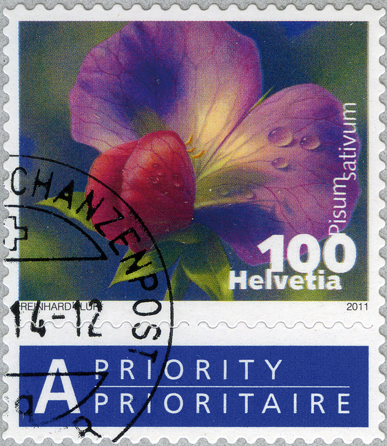 100 Rp. Kiefelerbse, "Starke Druckverschiebung des ganzen Markenbildes"