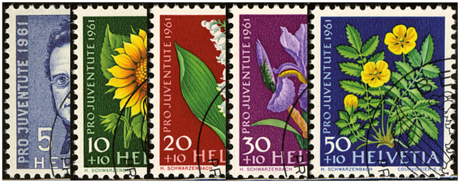 1961, Bildnis Jonas Furrers, Wiesen- und Gartenblumen