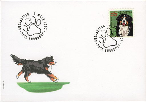 [7303.1227.01] 85 Rp. Berner Sennenhund, "Braune Fellstruktur"