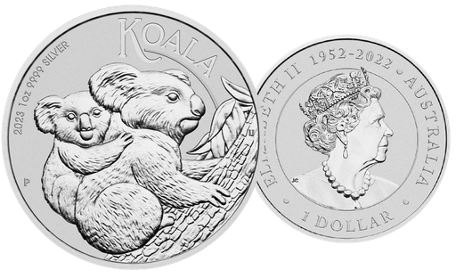 [7986.2023.23] 2023, Koala, Australien