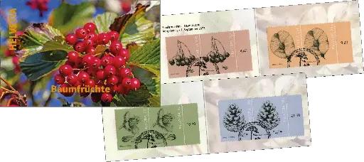 [7593.1962.02] 2023, Baumfrüchte