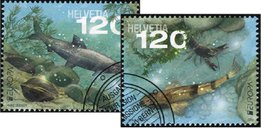 [7300.2004.91] 2024, EUROPA - Unterwasserfauna und -flora