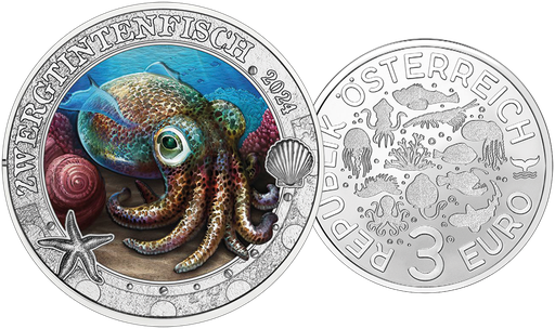 [7993.2024.19] 2024, Zwergtintenfisch, Österreich