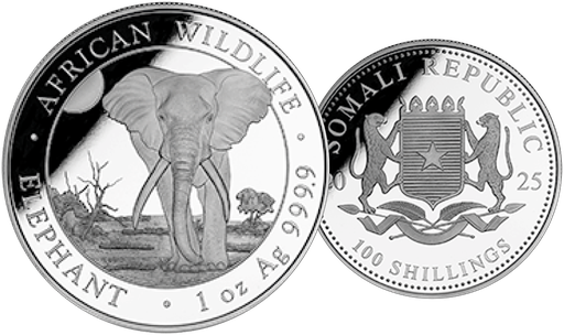 [7986.2025.01] 2025, Elefant Somalia