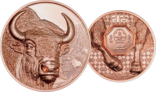 [7983.2025.05] 2025, Bison, Mongolei