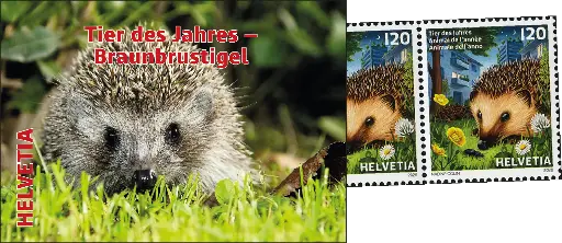 [7593.2104.01] 2026, Tier des Jahres - Braunbrustigel