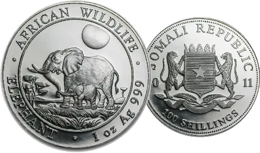 [7986.2011.01] 2011, Elefant, Somalia 