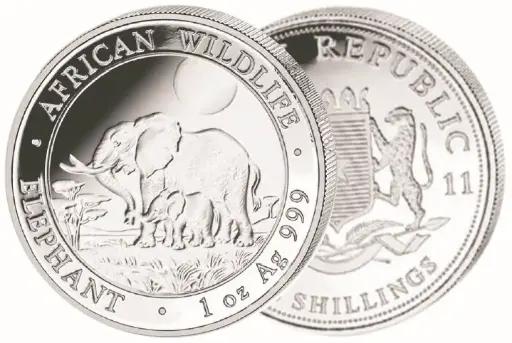 [7986.2011.01] 2011, Elefant, Somalia 