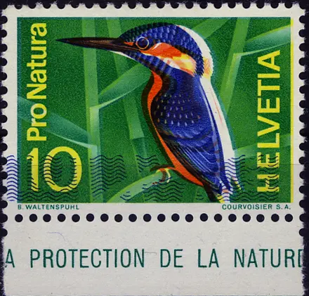 [7300.439.04] 10 Rp. Eisvogel, "Breite Druckverschiebung" der Druckfarben, sog. "Eisvogel mit Schneepelz"