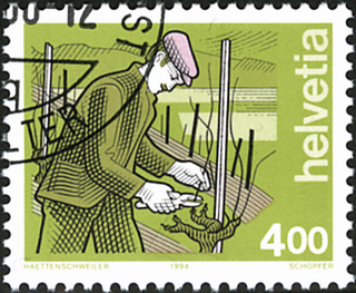 [7300.853.04] 400 Rp. Winzer, olivfarbener Kittel statt braun