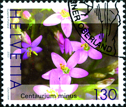 [7300.1077.02] 130 Rp. Tausendgüldenkraut, "Rot statt hellrosa"