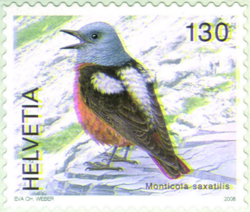 [7300.1272.21] 130 Rp. Steinrötel