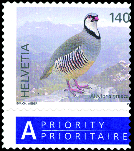 [7300.1306.04] 140 Rp. Steinhuhn, "Stark nach rechts verschobenes Markenbild"