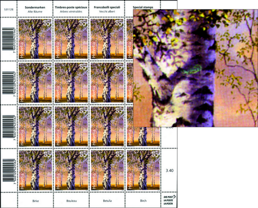 [7300.1308.01] 85 Rp. Birke, Abart: "Grosses Spechtloch in der Rinde"