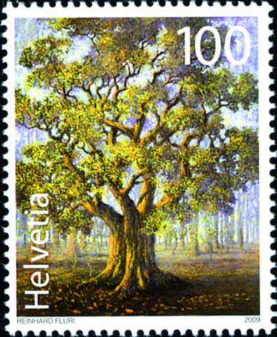 [7300.1309.01] 100 Rp. Eiche