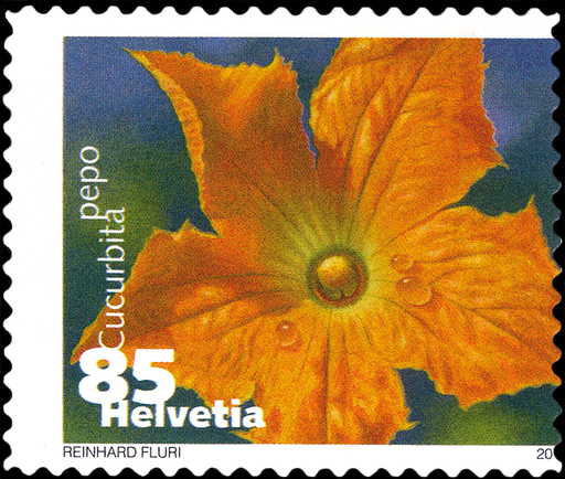 [7300.1376.07] 85 Rp. Zucchini, "Starke Verschiebung des Markenbildes"