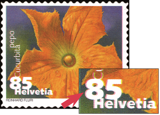 [7300.1376.12] 85 Rp. Zucchini, "Starke Verschiebung der Druckfarben" dadurch rote Schattierungen im ganzen Markenbild