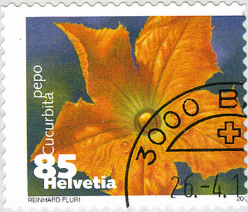 [7300.1376.08] 85 Rp. Zucchini, "Starke Verschiebung des gesamten Markenbildes"