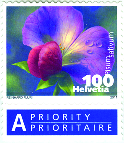 [7300.1377.01] 100 Rp. Kiefelerbse