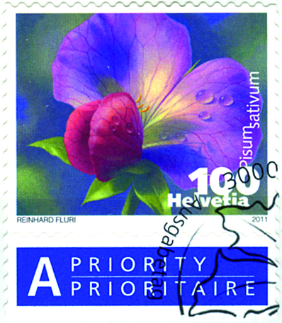 [7300.1377.02] 100 Rp. Kiefelerbse