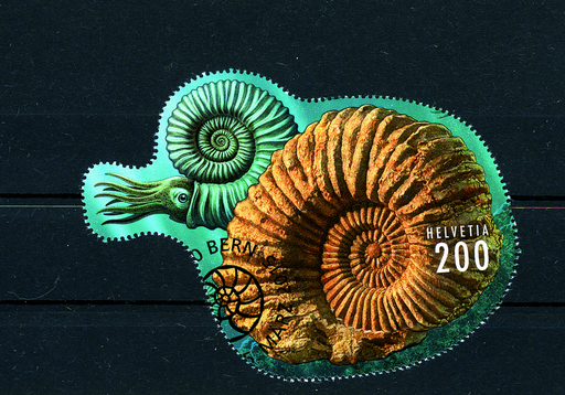 [7300.1543.04] 200 Rp. Ammonit