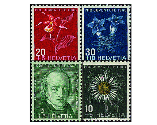 [7390.105.01] 1943, Bildnis Emanuel von Fellenbergs und Alpenblumenbilder