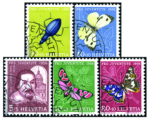 [7390.163.02] 1956, Bildnis Carlo Madernos und Insektenbilder