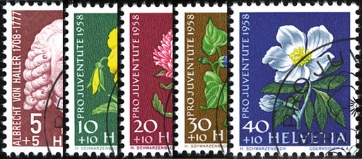 [7390.173.02] 1958, Bildnis Albrecht von Hallers, Wiesen- und Gartenblumen