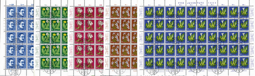 [7390.183.08] 1960, Bildnis Alexandre Calames, Wiesen- und Gartenblumen