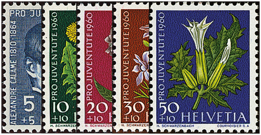 [7390.183.01] 1960, Bildnis Alexandre Calames, Wiesen- und Gartenblumen