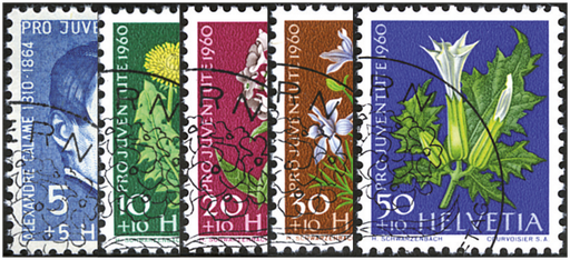 [7390.183.02] 1960, Bildnis Alexandre Calames, Wiesen- und Gartenblumen