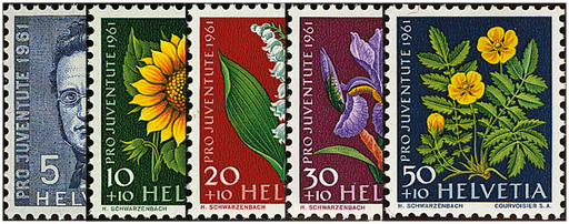 [7390.188.01] 1961, Bildnis Jonas Furrers, Wiesen- und Gartenblumen