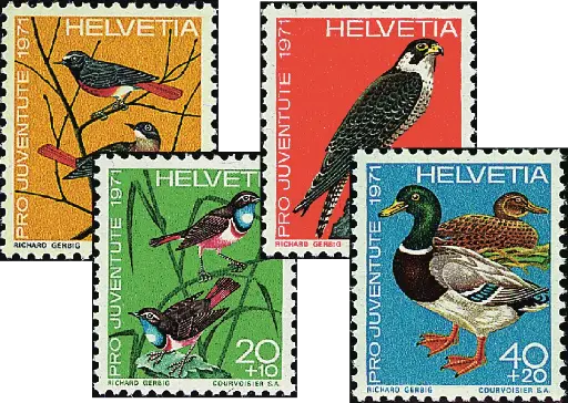 [7390.236.01] 1971, Einheimische Vögel