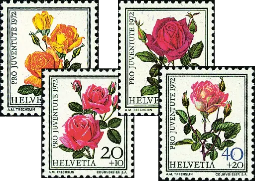 [7390.240.01] 1972, Rosen I