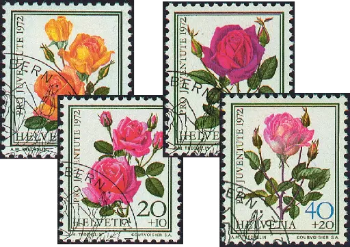 [7390.240.02] 1972, Rosen I