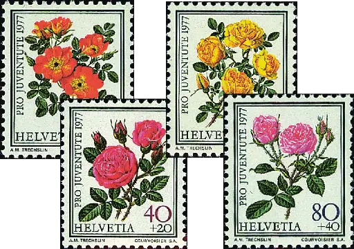 [7390.261.01] 1977, Rosen II